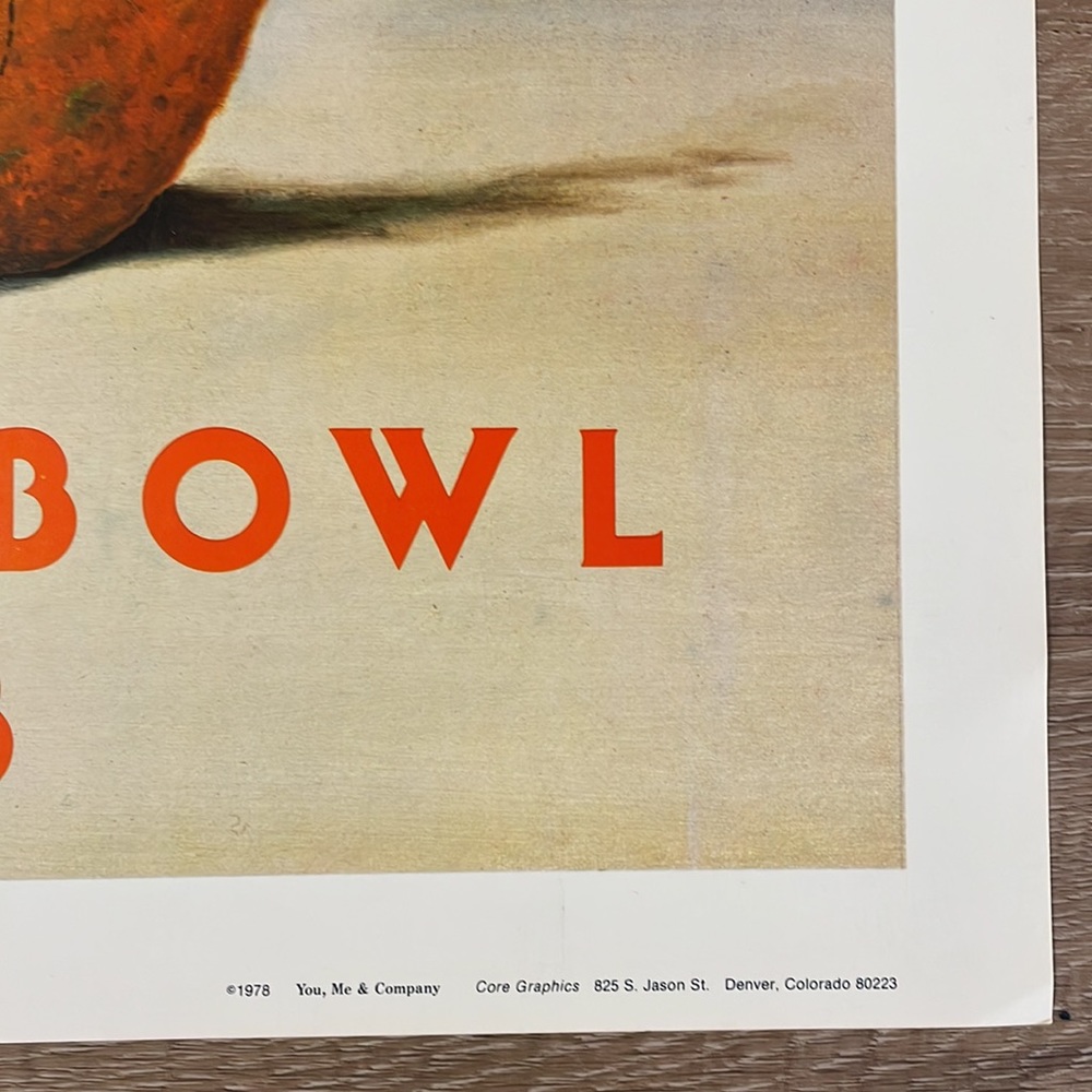 Vintage Denver Broncos Super Bowl XII 1978 “Orange Crush” Art Print RARE 18”x15” - Picture 4 of 8